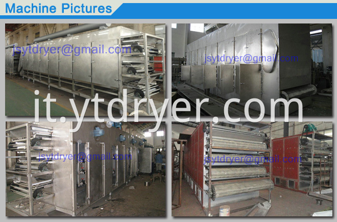 Multilayer Penetrating Belt Dryer